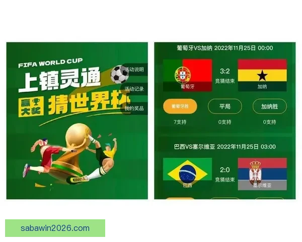 世界杯竞猜网站推荐与投注技巧分析助你精准预测赛事结果