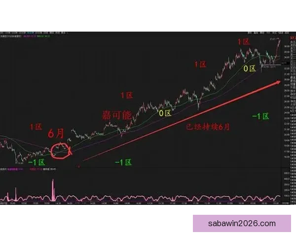 世界杯竞猜游戏高手必读全面解析投注技巧与稳健盈利实战指南